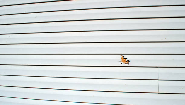 Affordable siding repair and maintenance services in New Boston, OH